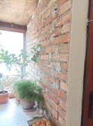 kuće   Irig  Irig okolina    Jazak